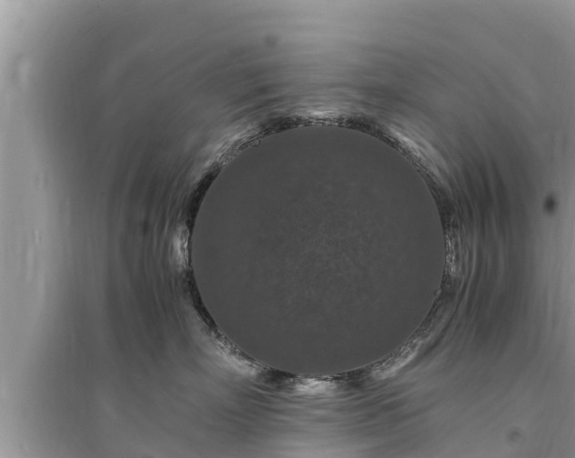 X0000095540718200712211347