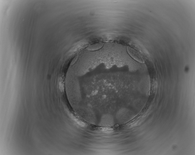 X0000095540719200712211347