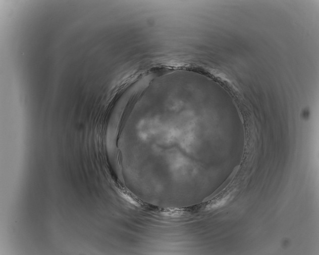 X0000095540720200712211347