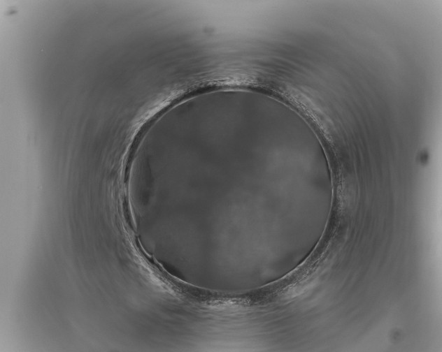 X0000095540721200712211347