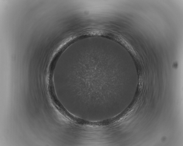 X0000095540722200712211347