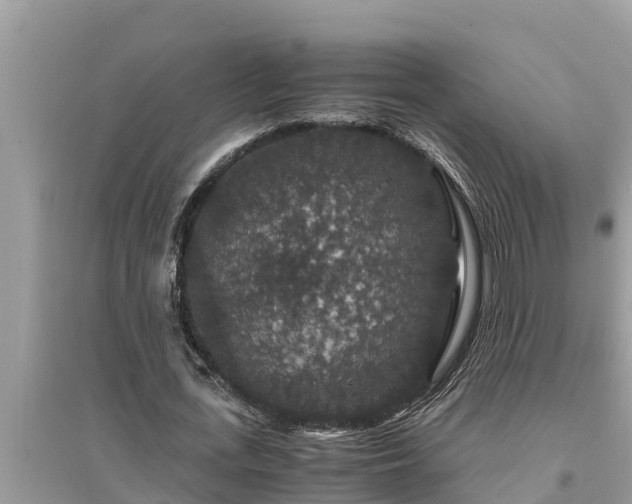 X0000095540723200712211347