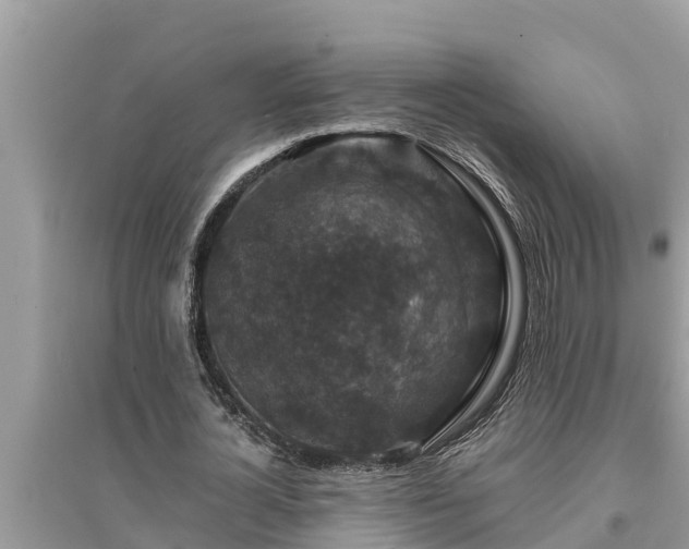 X0000095540724200712211347