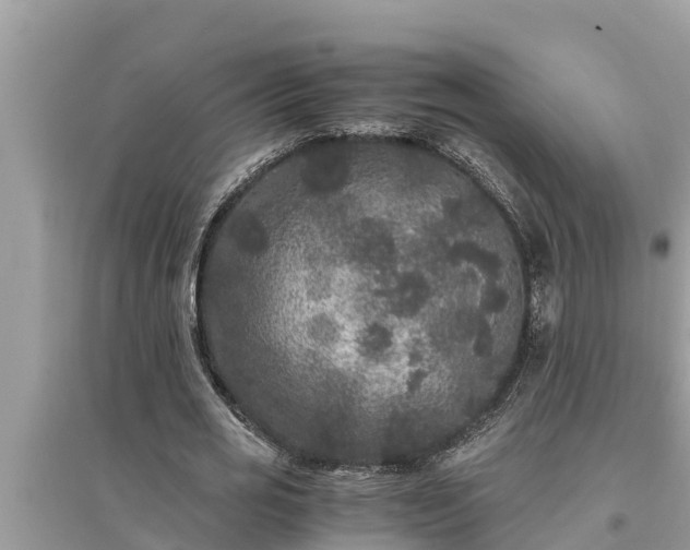 X0000095540725200712211347