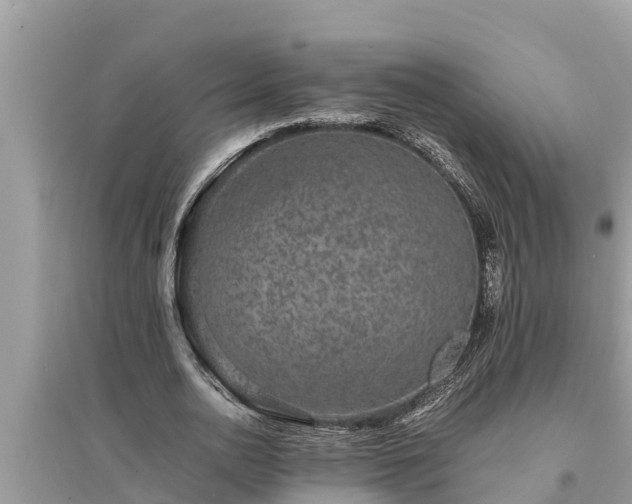 X0000095540726200712211347