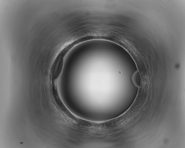 X0000095540727200712211347