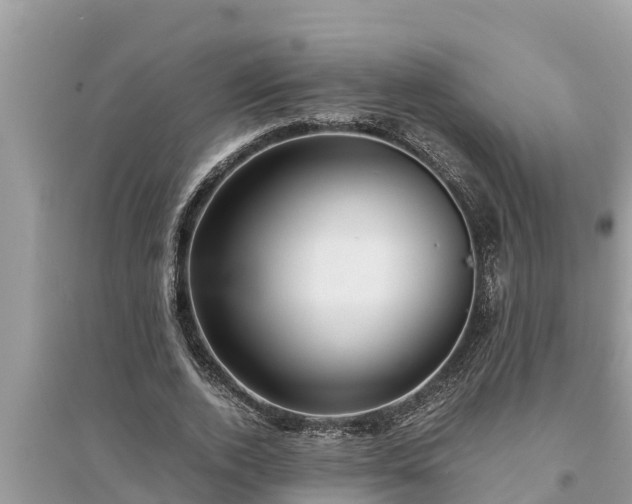 X0000095540728200712211347