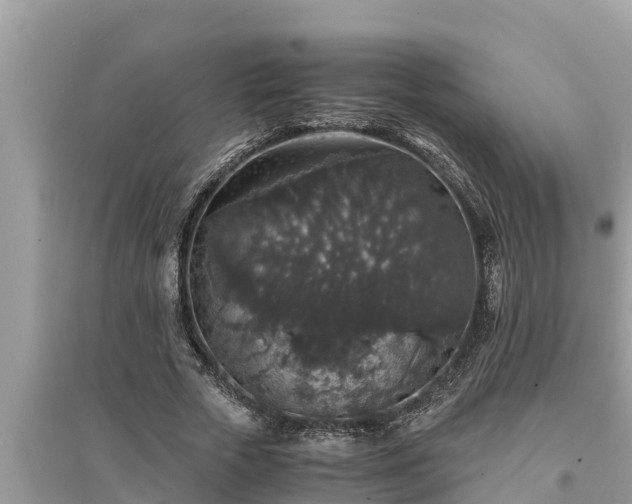 X0000095540729200712211347