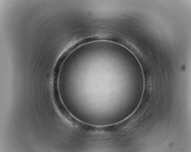 X0000095540730200712211347