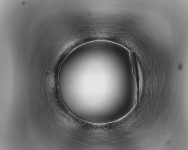 X0000095540731200712211347