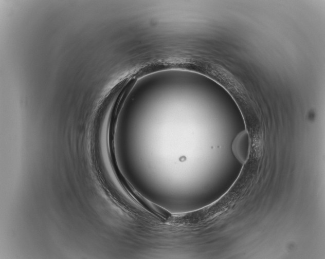 X0000095540732200712211347