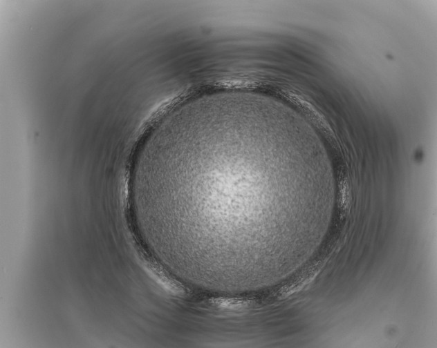 X0000095540733200712211347