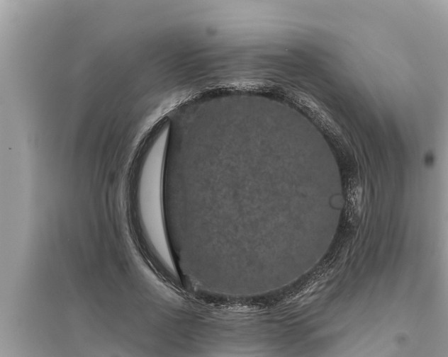 X0000095540734200712211347