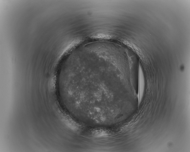 X0000095540735200712211347