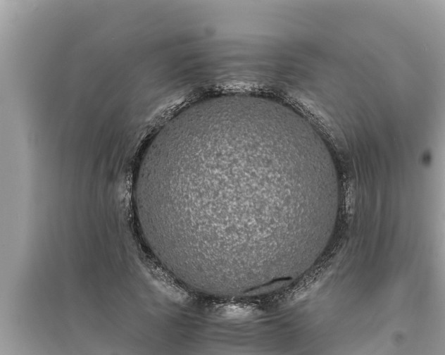 X0000095540737200712211347