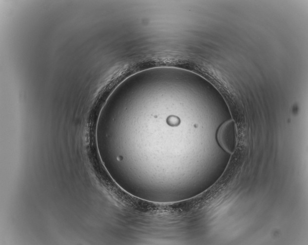 X0000095540738200712211347