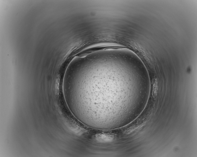 X0000095540739200712211347