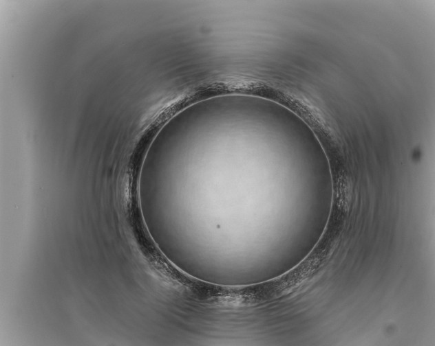 X0000095540740200712211347