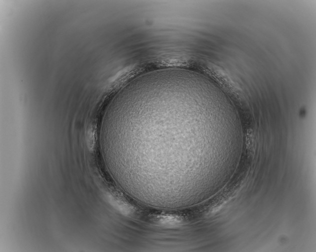 X0000095540741200712211347