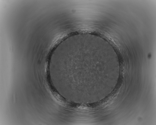 X0000095540742200712211347