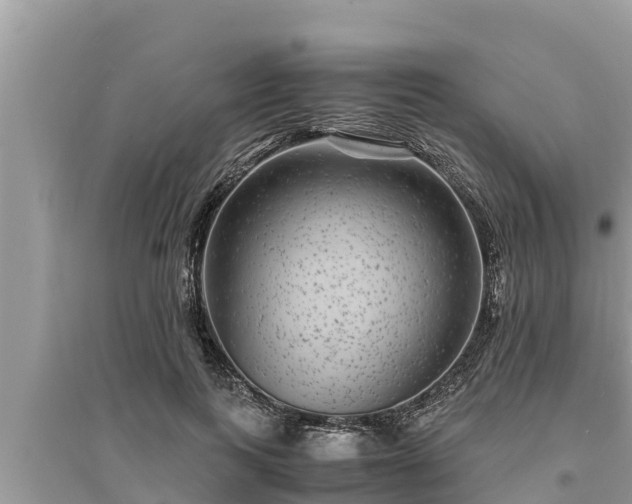 X0000095540743200712211347