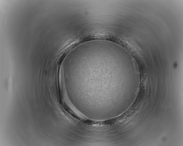 X0000095540744200712211347