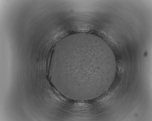 X0000095540745200712211347