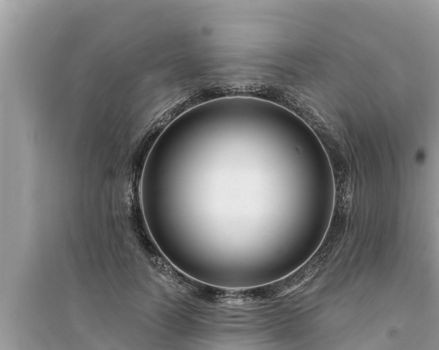 X0000095540746200712211347