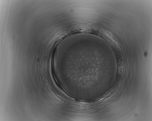 X0000095540748200712211347