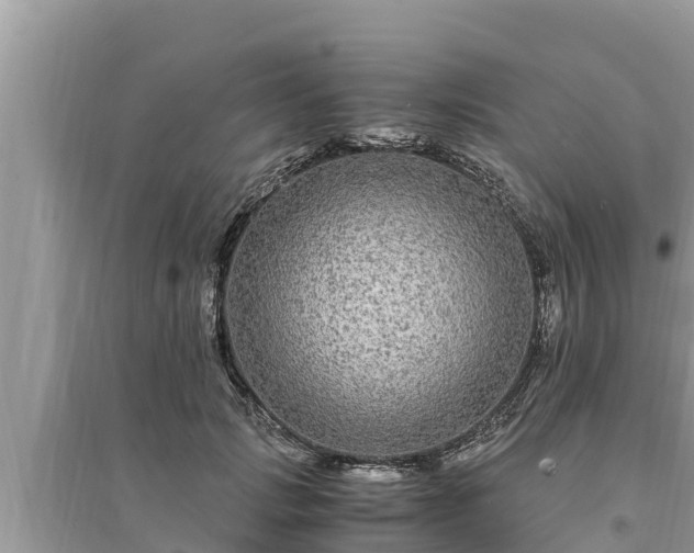 X0000095540749200712211347