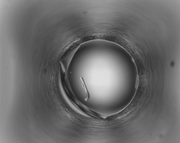 X0000095540750200712211347