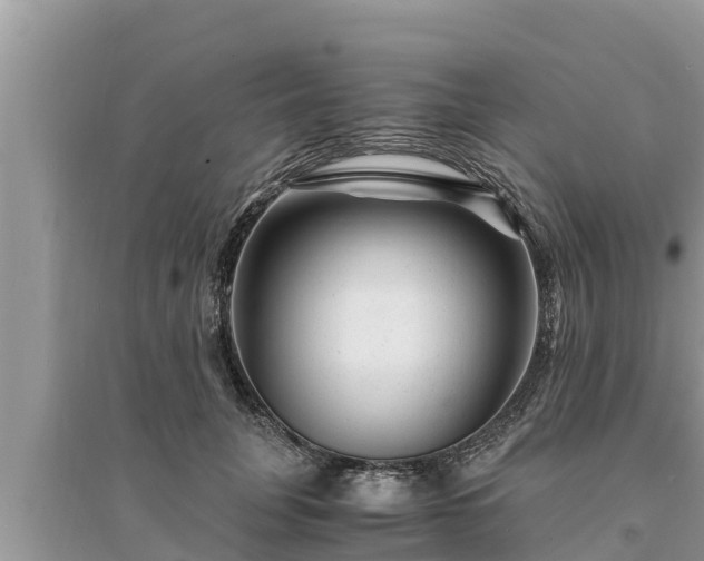 X0000095540751200712211347