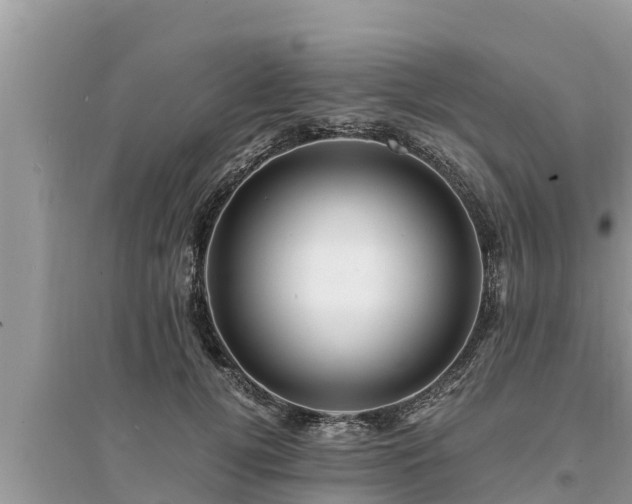 X0000095540752200712211347