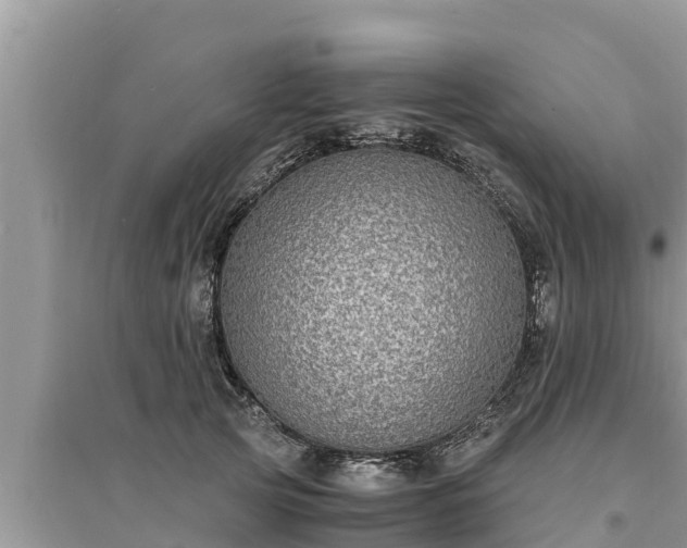 X0000095540753200712211347