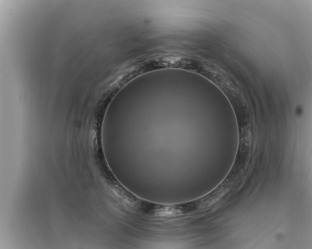 X0000095540754200712211347