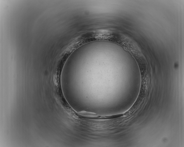 X0000095540755200712211347