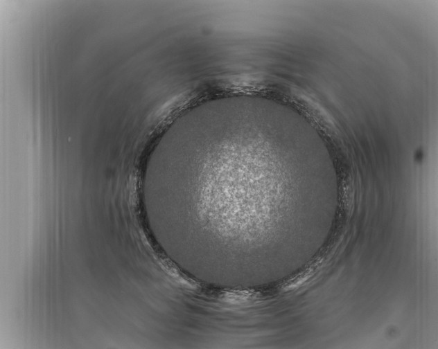 X0000095540757200712211347