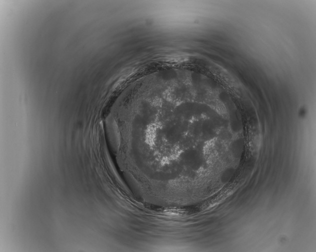 X0000095540758200712211347