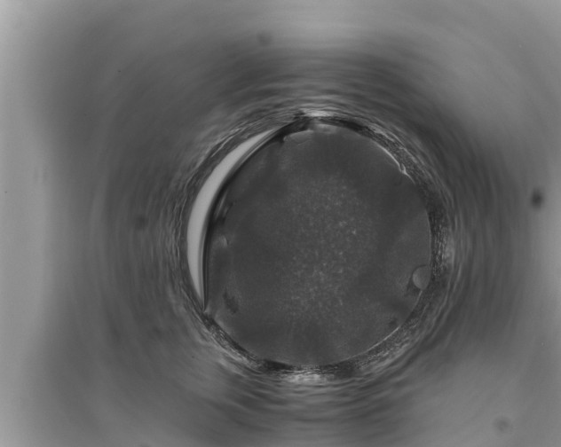 X0000095540759200712211347