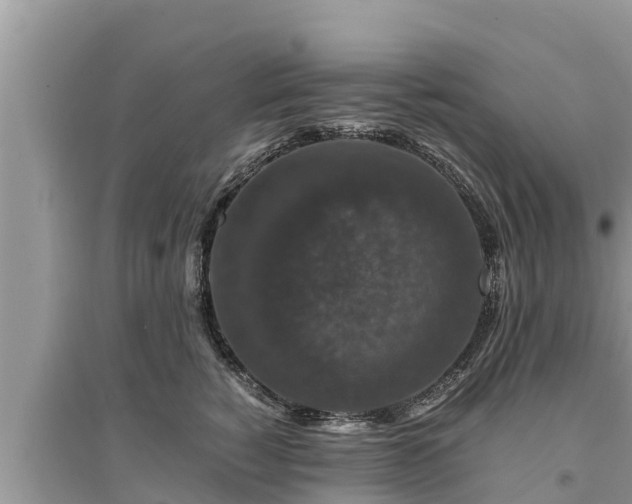 X0000095540760200712211347