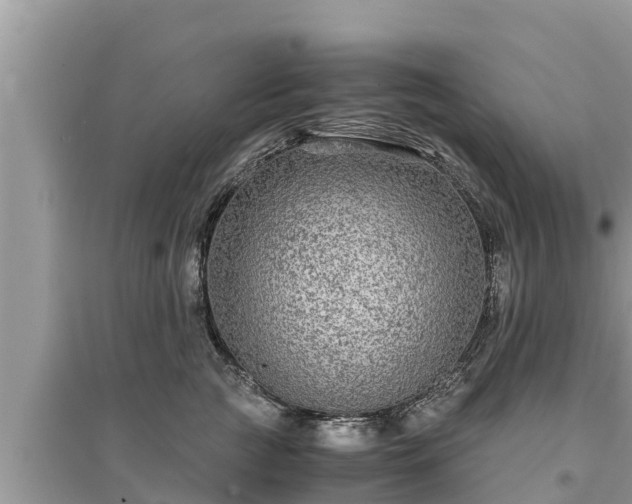 X0000095540761200712211347