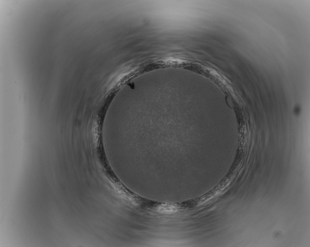 X0000095540762200712211347