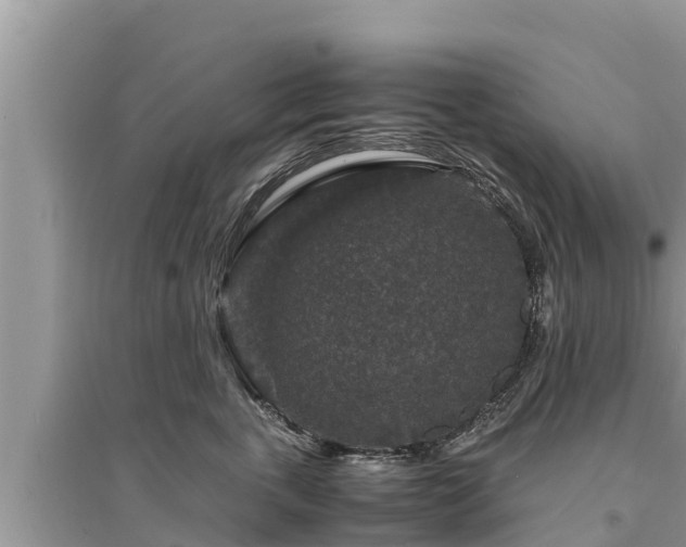 X0000095540763200712211347