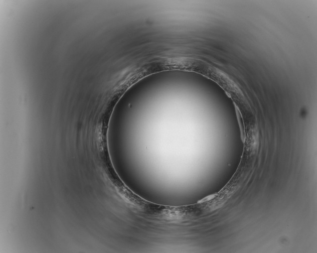 X0000095540764200712211347