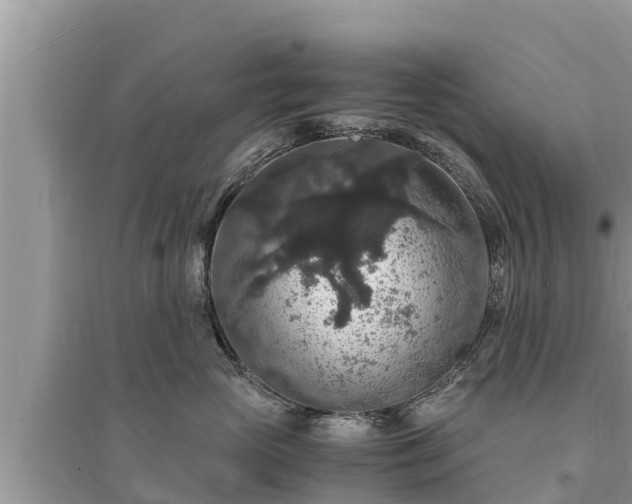 X0000095540765200712211347