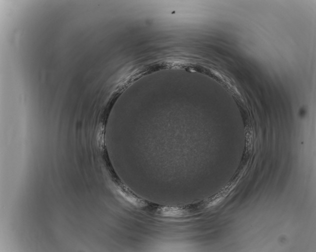 X0000095540766200712211347