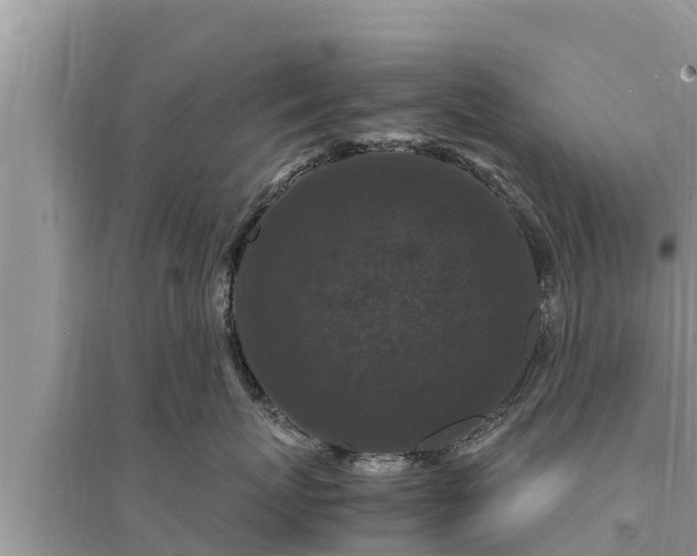 X0000095540767200712211347