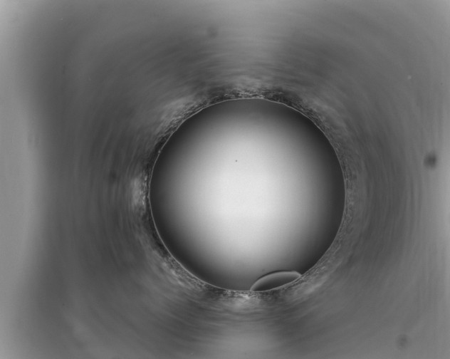 X0000095540768200712211347