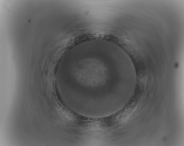 X0000095540769200712211347