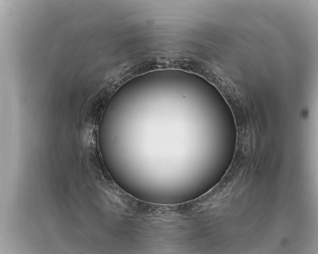 X0000095540770200712211347